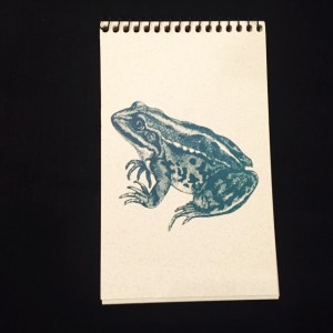 3665
