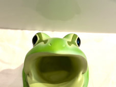 23268