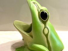 23268