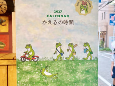 23271