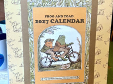 23274