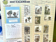 23274