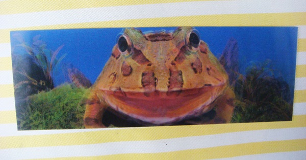 3085