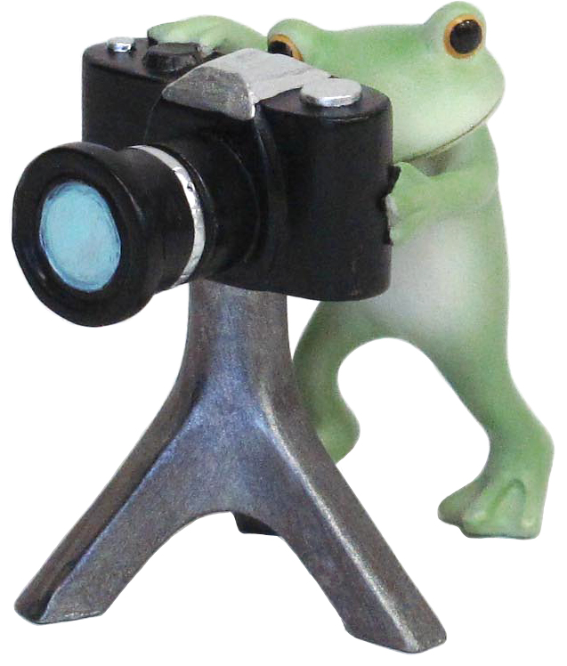 72995